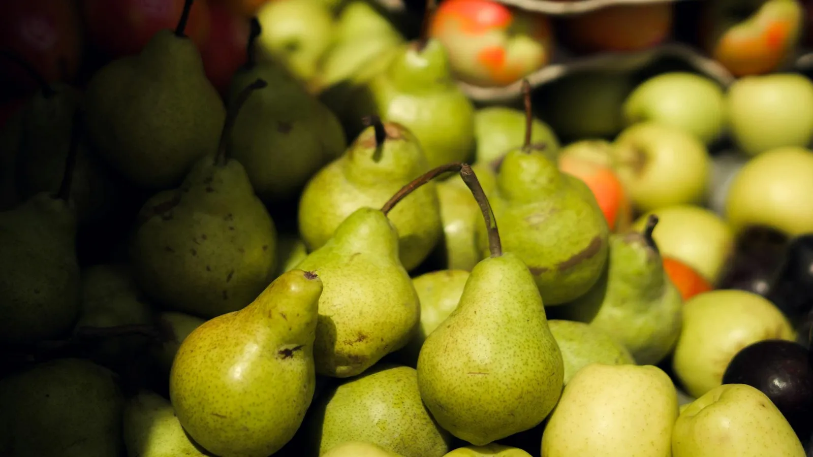 Nashi pears on display, showing what to look for when picking good fruit in Australia