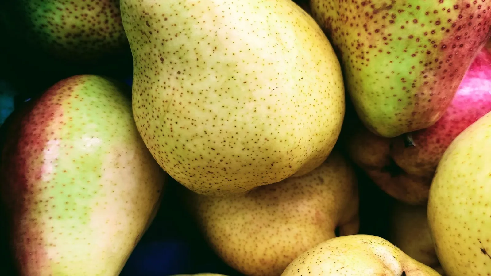 Nashi pear harvest crate, the late summer to autumn Australian Nashi pear season