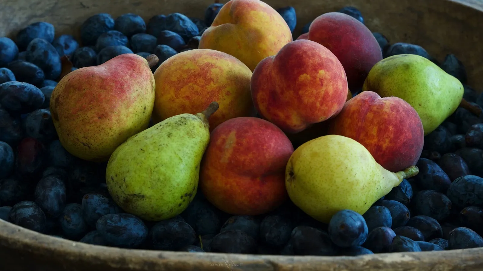 Nashi pears and European pears side by side, comparing the round crisp Asian profile to the buttery European shape